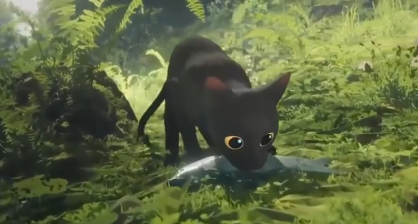 Кот